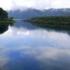 2016年9月4日(日） 富士山麓・樹海ハイク・レポート