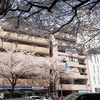 2021桜②（恵比寿）