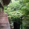 雨の大原三千院