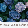 5月のふりかえり＆6月にやりたいこと