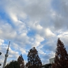 雲写真　今朝の空　雲多し