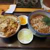 そば処　丸富　(閉店)　その十五
