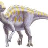 天草で　化石がザクザク　ほれるかな