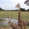 2020.10 九州の旅（15日目）　～ 鹿児島市平川動物公園 ・トレーラーの修理は鹿児島で～