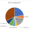2025年1月支出