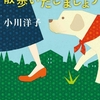 作品の書き口と大分ギャップがある！夢想家？天然？　|『とにかく散歩いたしましょう』小川洋子