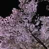 魂の傷を癒すことの大事さ「愛されたら死んでしまう？」桜の海へ　その2