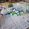 ペットボトルのキャップ　鉢植えのバラ