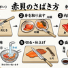 個人的調理実習：赤貝を捌きました。。