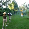 バリまとめ：アマンのアクティビティ