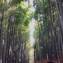 雪街diary