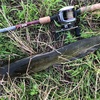 ナマズ釣り 価値ある1匹を求めて