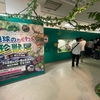 夏休みイベント広島県福山市の天満屋で開催中のイベント「地球わくわく珍獣展」に行ってきました☆世界の広さ実感（笑）期間限定で楽しかったです♪