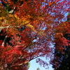 静岡県　周智郡森町　「大洞院」に行って来ました（紅葉編）