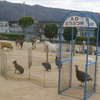 啓蟄・移動動物園