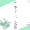 ウチワサボテンは生きていた…！という話