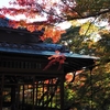 【期間延長】嵐山の紅葉名所「宝厳院」秋の特別拝観は12月15日まで｜2024見頃の時期、紅葉の状況、書院、予約方法、混雑状況、見どころ（京都府京都市右京区嵯峨天龍寺）