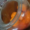 柿酢作り　記録
