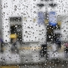 大雨の中、娘とねるねるねるねを買いにいく