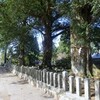 千鳥のうた(2/6)