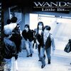 【アルバム感想】『Little Bit…』　WANDS