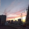 【日常】お久しぶりです