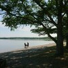 夏旅北海道十一日　絶景の美幌峠に観たことない摩周湖の碧！