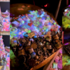 レジン工作: Test 4/5:「砂糖菓子の弾丸は打ち抜けない」インスポ