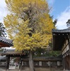 手向山神社