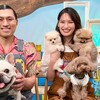 テレ東 どうぶつピース！！空港探知犬＆秘境ペット３時間半SP  ワンニャン衝撃映像祭り