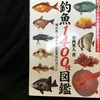 目指せ、お魚くん。【読書感想文】『釣魚１４００種図鑑』小西英人／KADOKAWA