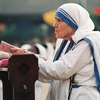 マザー・テレサ生誕100年記念写真展News(62)京都写真展、来場者の声