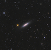 NGC6503