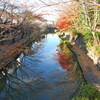 近江八幡　八幡堀の逆さ紅葉