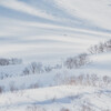 明日が積雪のピークで明後日が最低気温のピークだって？