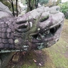 三島・函南・伊豆の国