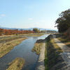 秋の京都散策記④　今回の旅行で参拝した寺社（二日目）