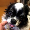 chappyの日記