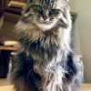 がんちゃんより