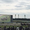 【家族でお出掛け】小鉄と「京都競馬場」へお出掛け。子連れ家族全員楽しめるスポットです✨