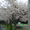 愛知県刈谷市の洲原神社に参拝そして洲原公園で花見