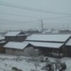 まさかの積雪