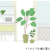 観葉植物の植え替えをしてみた話