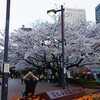 減力日記★東京もいよいよ春ですねぇ～