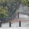 2025年3月5日（水）　雨の啓蟄（けいちつ）