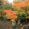 新潟県・松雲山荘と弥彦神社の紅葉とへぎそば