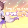 『神狐のしっぽ』で和装スタイル【キツネ"コン"カフェ】