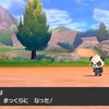 【ポケモン剣盾】かわいいクマには旅させよ！！クマシュン1匹縛りでストーリークリア～剣盾編～　その2「油断は禁物」