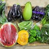 8月4日の野菜セット
