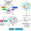 machine leraningも併用するmetagenomeのビニングツール Autometa